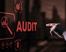 A hand pointing at the word "audit."